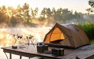 Karpfen angeln Tipps – Die besten Techniken & Tricks für 2025