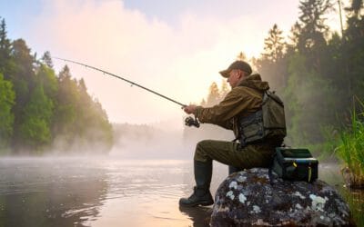 Zander angeln Tipps – Die besten Techniken & Erfolgsstrategien