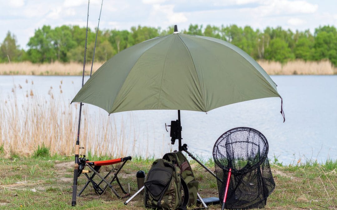 Angelschirm kaufen: Welcher Schirm ist ideal fürs Karpfenangeln?