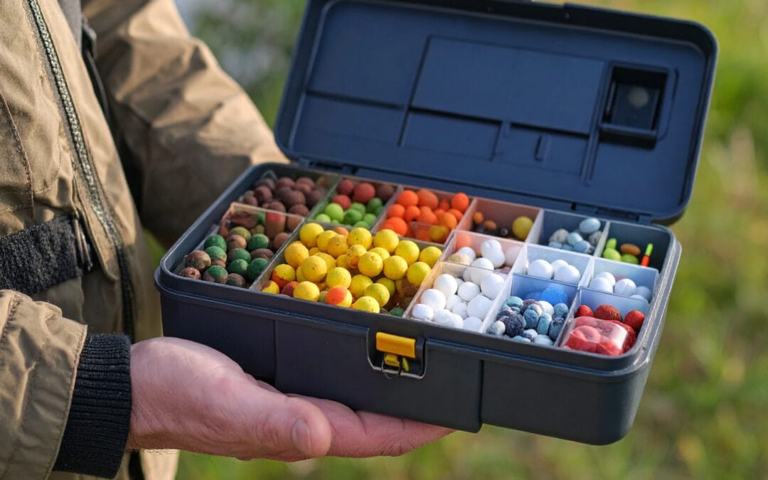 Welche Boilies sind am besten für karpfen